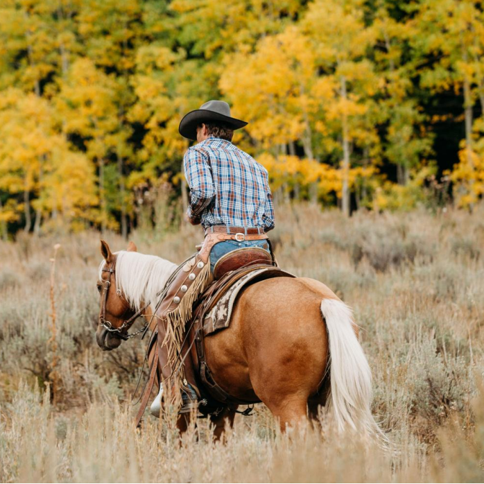 Dubinik® Pearl Snap Shirts For Men Long Sleeve Lightweight Casual Western Plaid Cowboy Cotton Vintage Work Shirt#48027