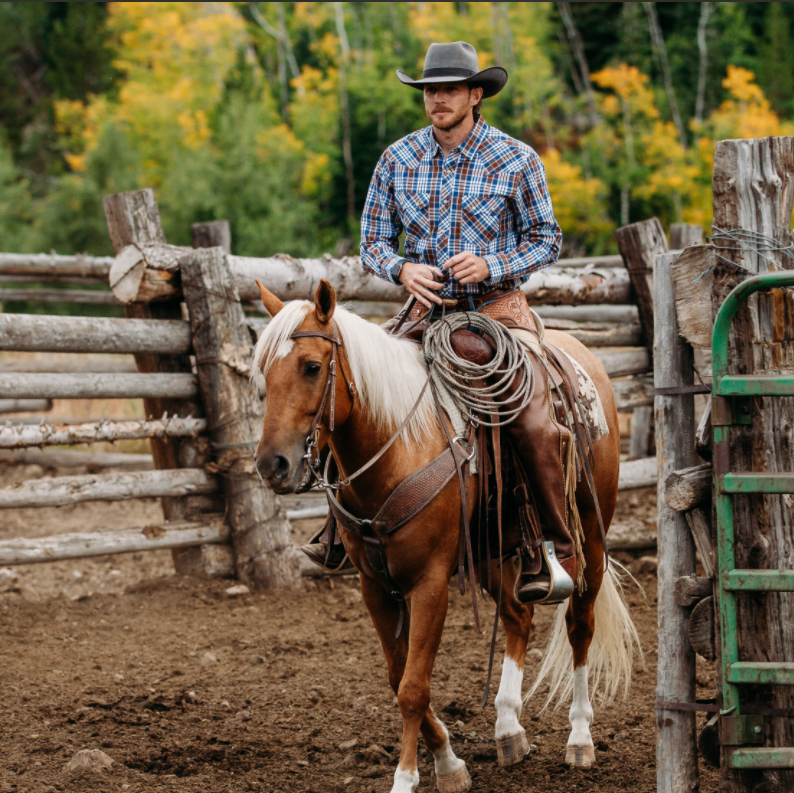 Dubinik® Pearl Snap Shirts For Men Long Sleeve Lightweight Casual Western Plaid Cowboy Cotton Vintage Work Shirt#48027